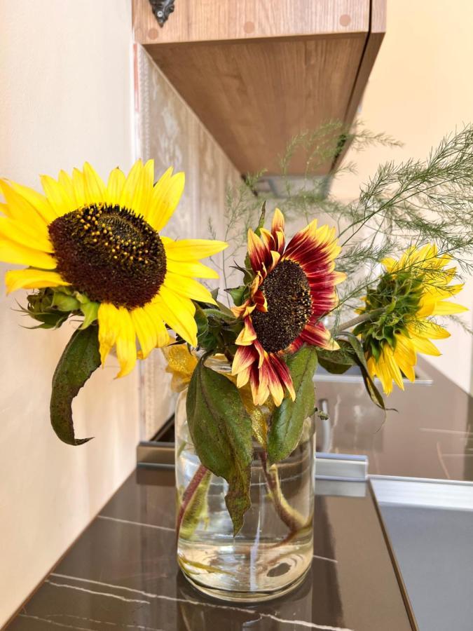 Premium Tamarioni Appartement Tbilissi